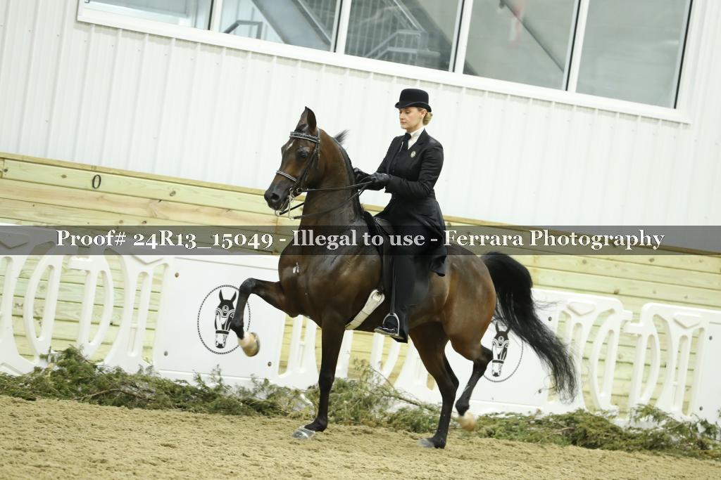 Proof 24R13_15049