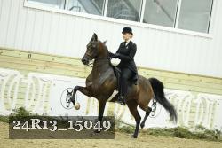 24R13_15049 proof