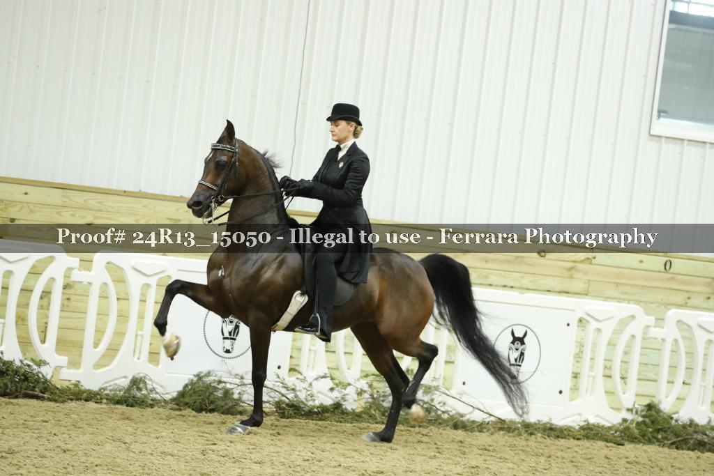 Proof 24R13_15050