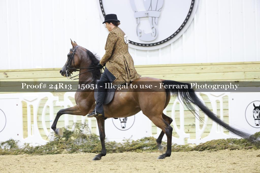 Proof 24R13_15051