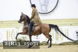 24R13_15051 proof