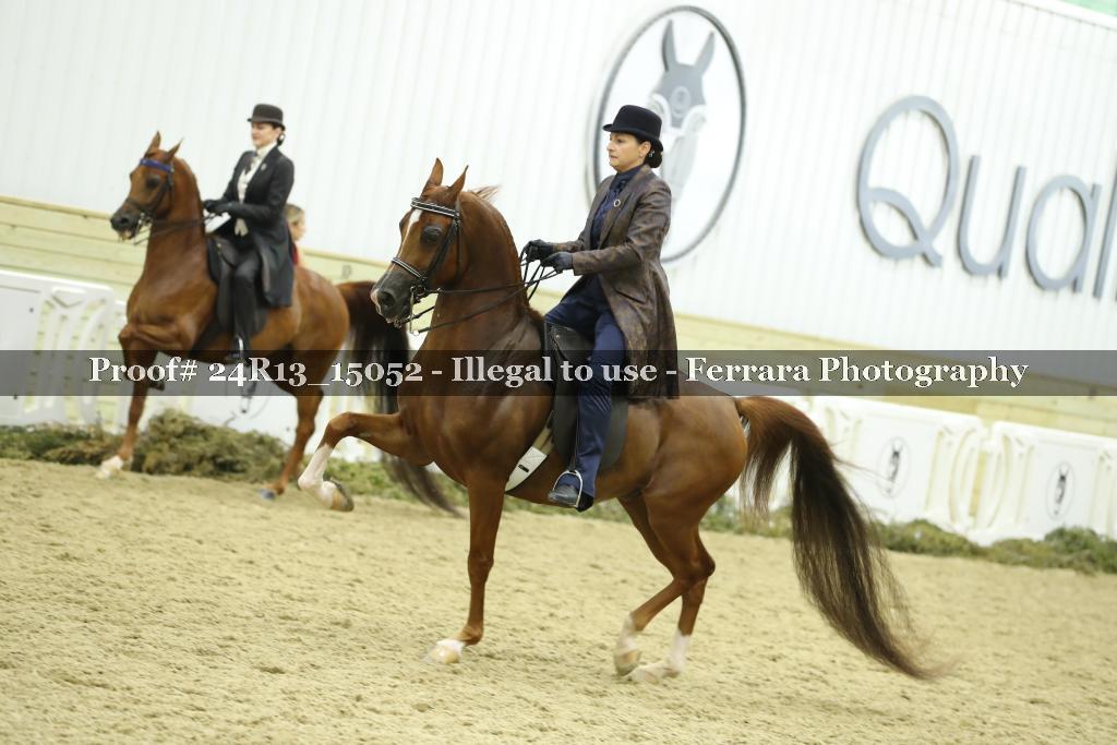 Proof 24R13_15052