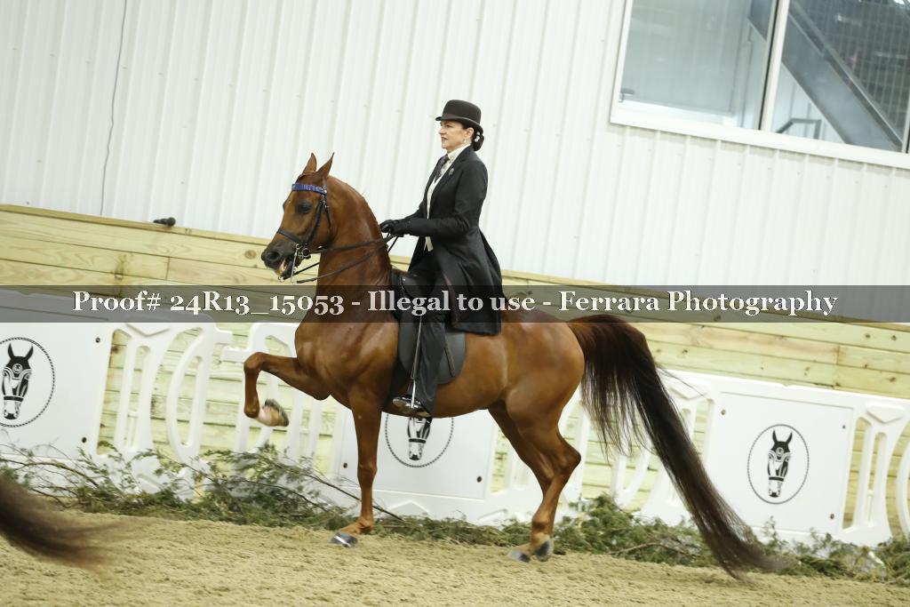 Proof 24R13_15053