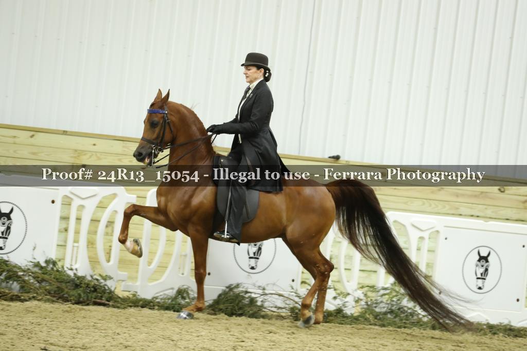 Proof 24R13_15054