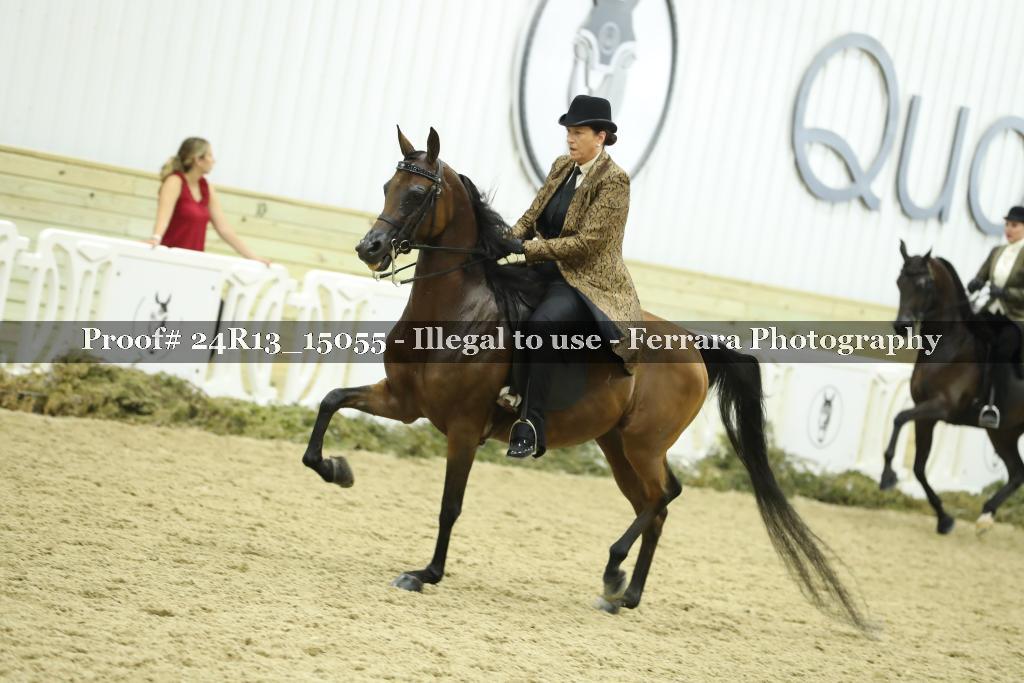 Proof 24R13_15055