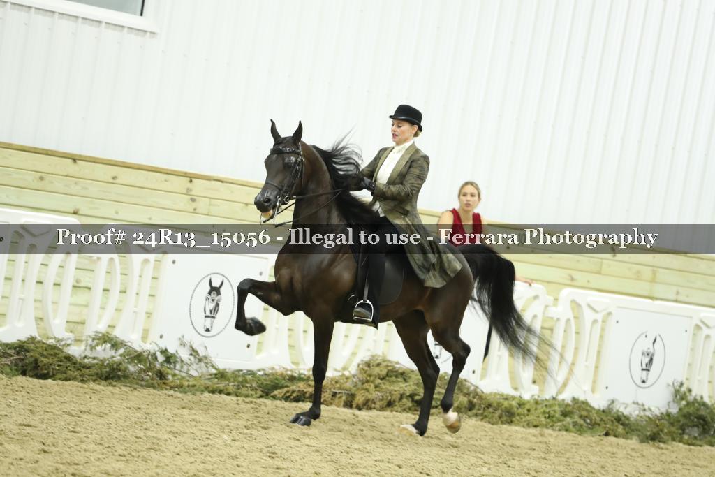 Proof 24R13_15056