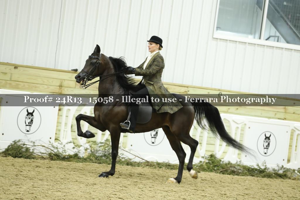 Proof 24R13_15058