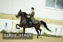 24R13_15058 proof
