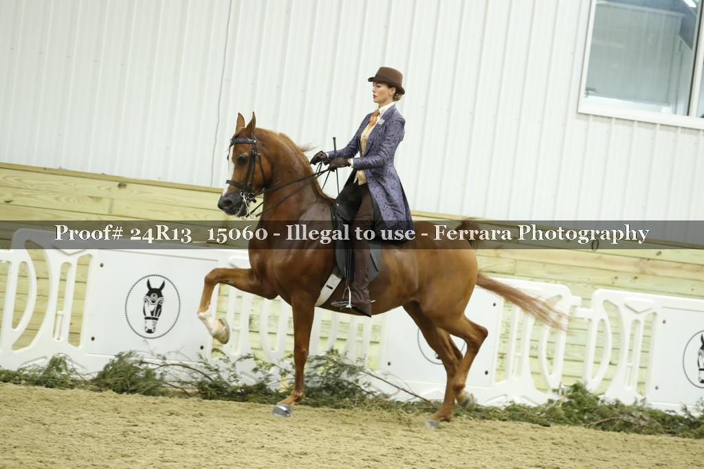 Proof 24R13_15060
