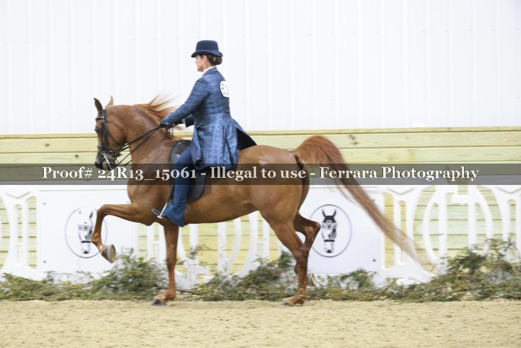 Proof 24R13_15061