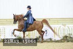 24R13_15061 proof