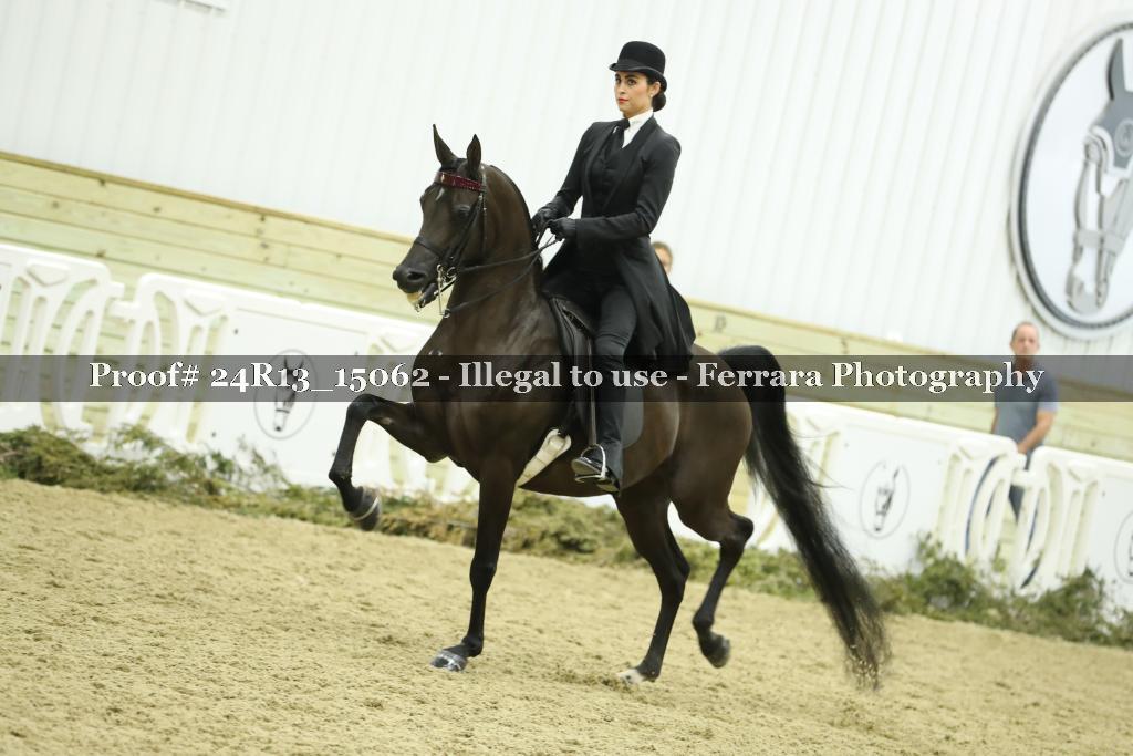 Proof 24R13_15062