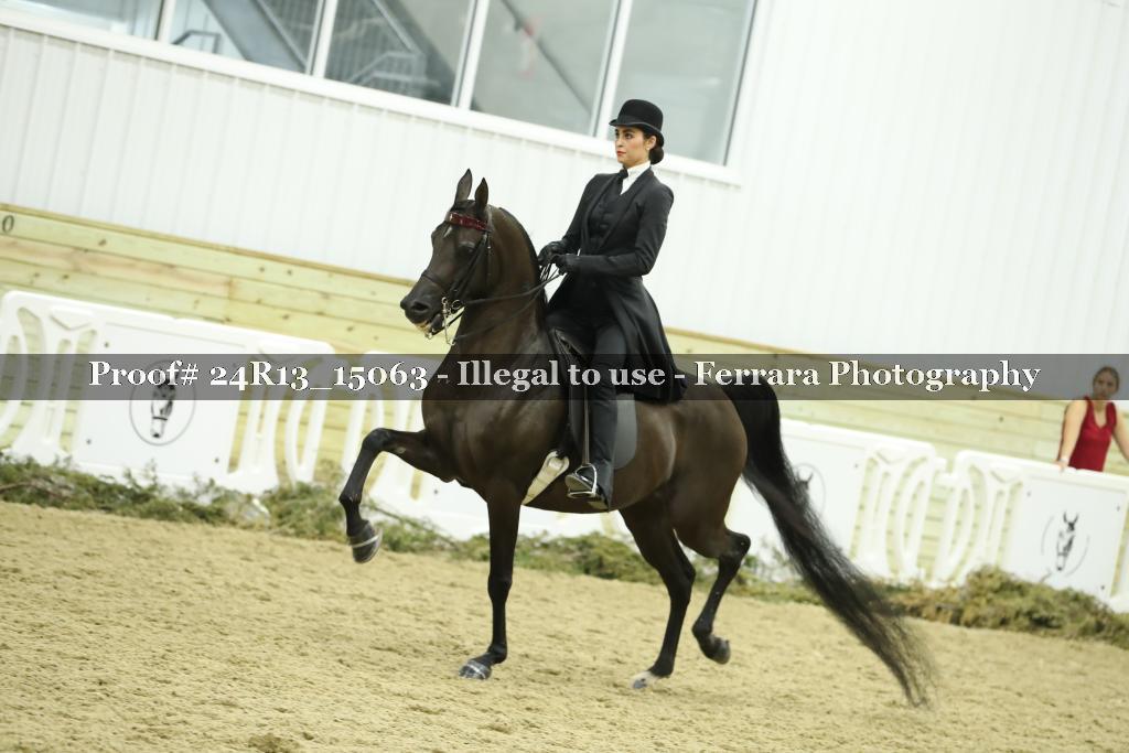 Proof 24R13_15063