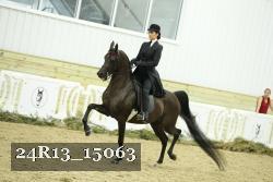 24R13_15063 proof