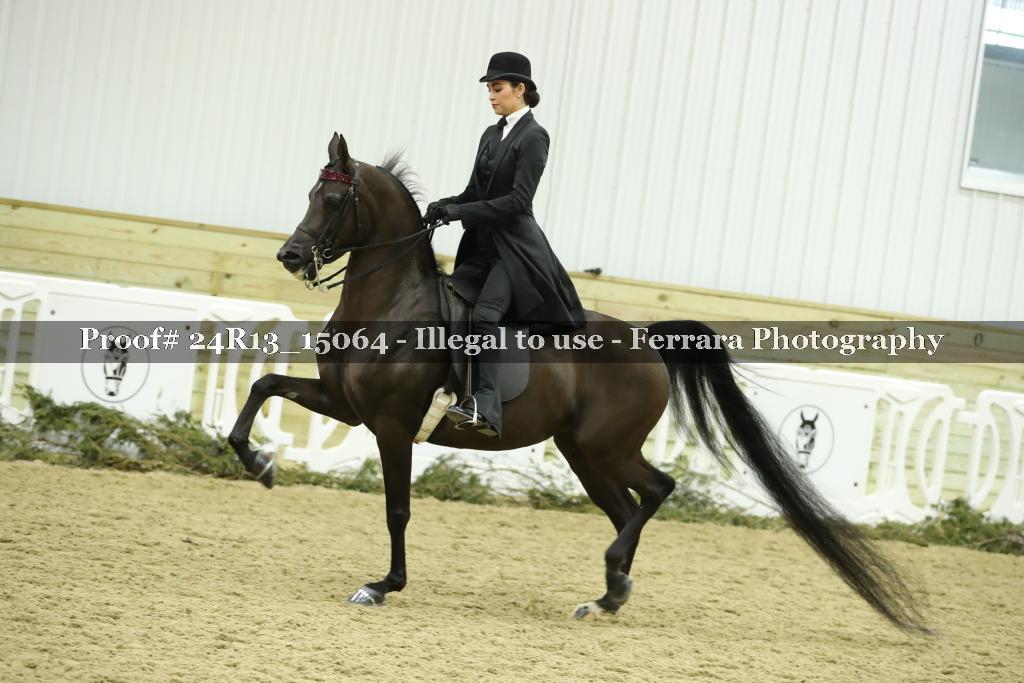 Proof 24R13_15064