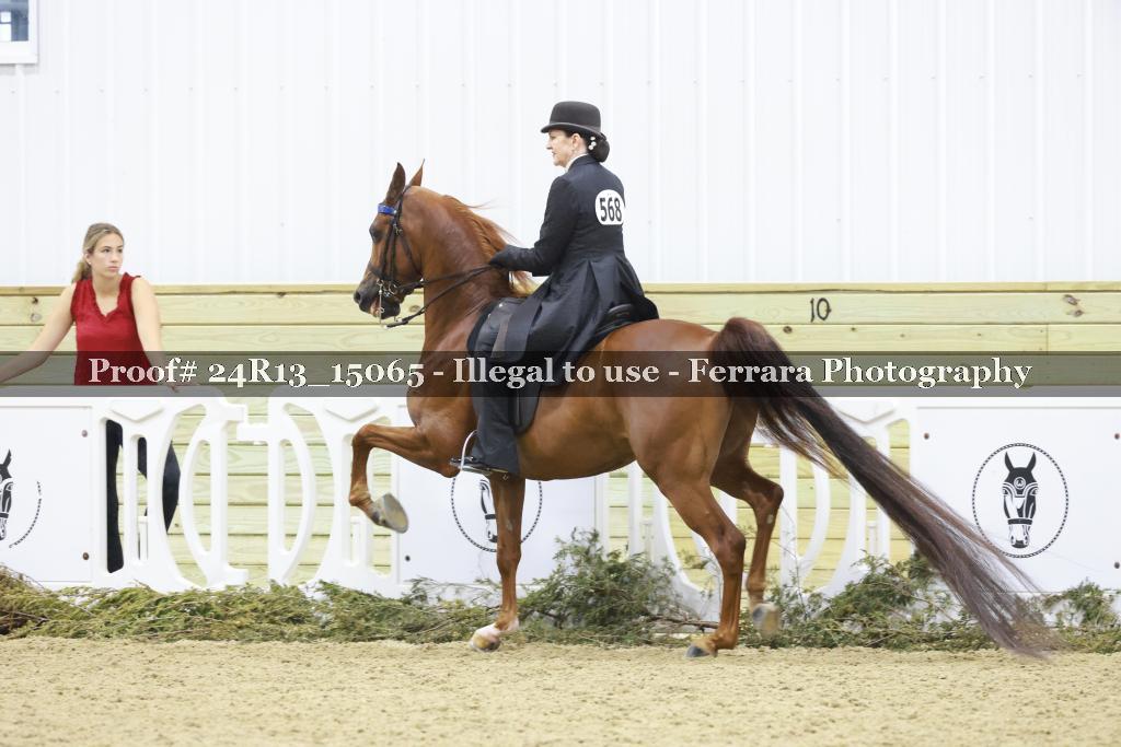 Proof 24R13_15065