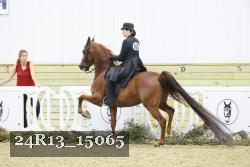 24R13_15065 proof