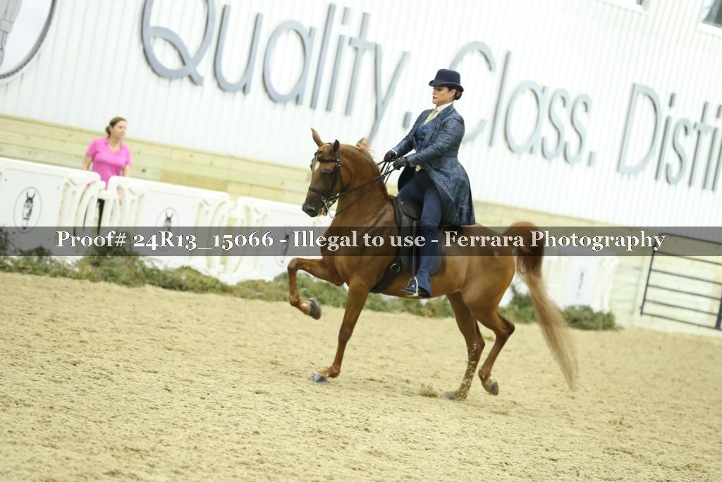 Proof 24R13_15066