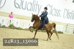 24R13_15066 proof