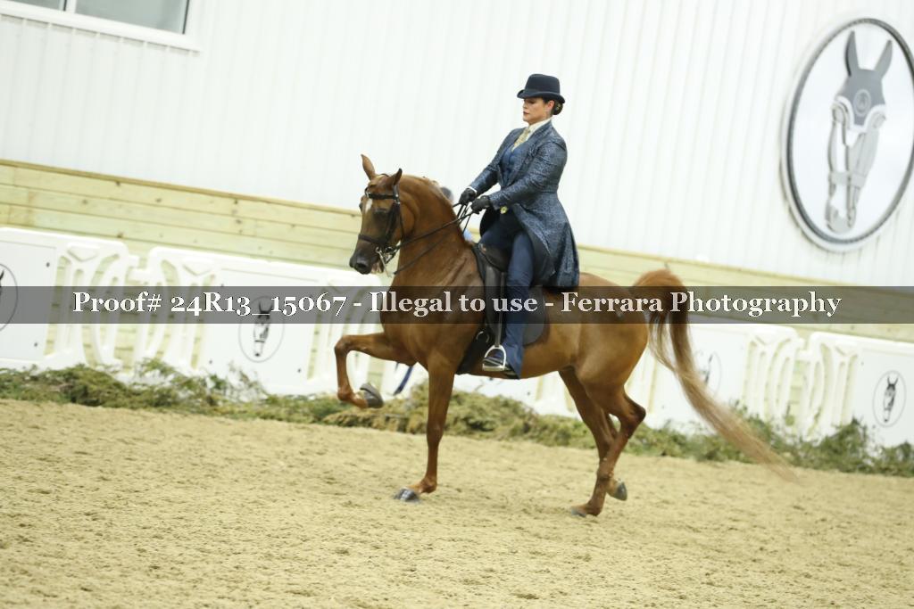 Proof 24R13_15067