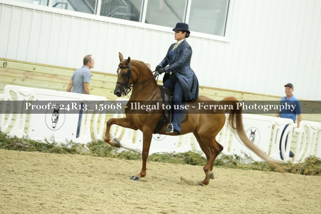 Proof 24R13_15068