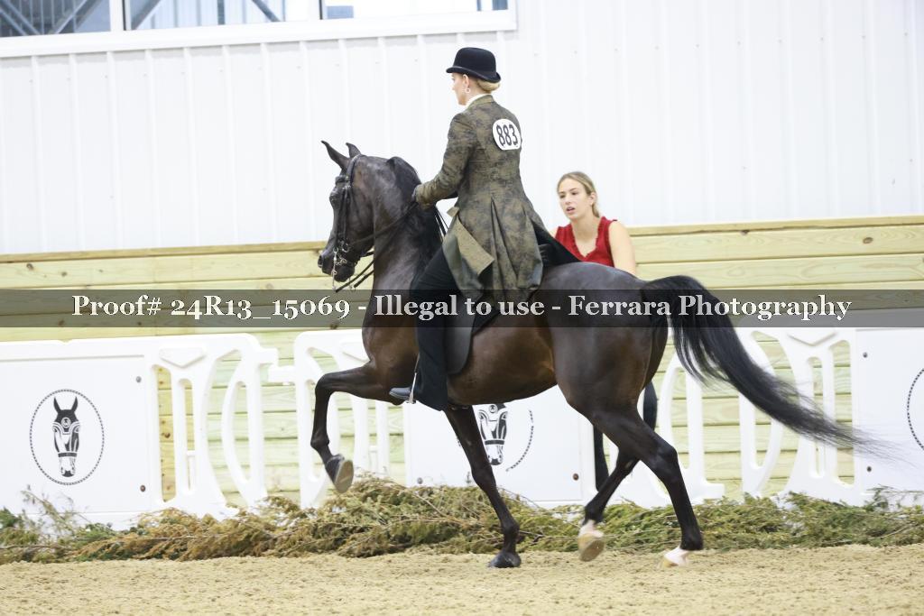 Proof 24R13_15069