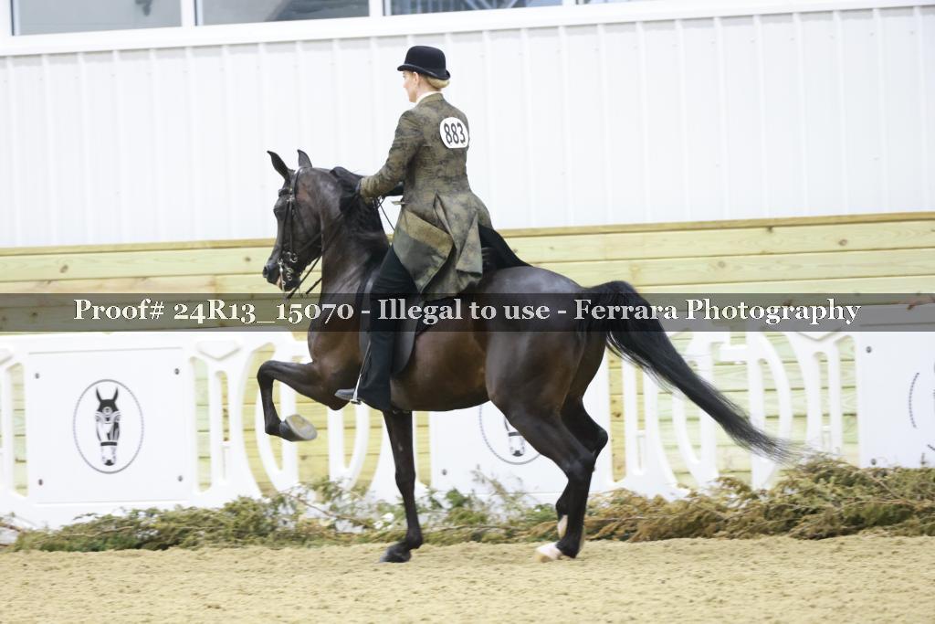 Proof 24R13_15070