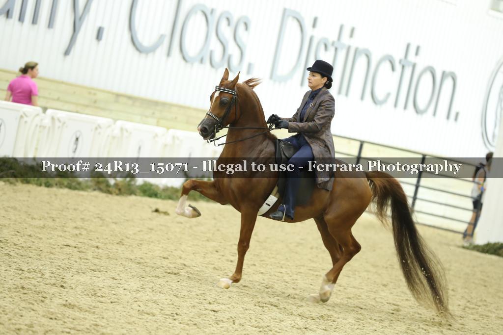 Proof 24R13_15071