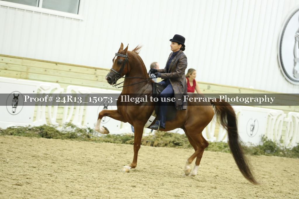 Proof 24R13_15073