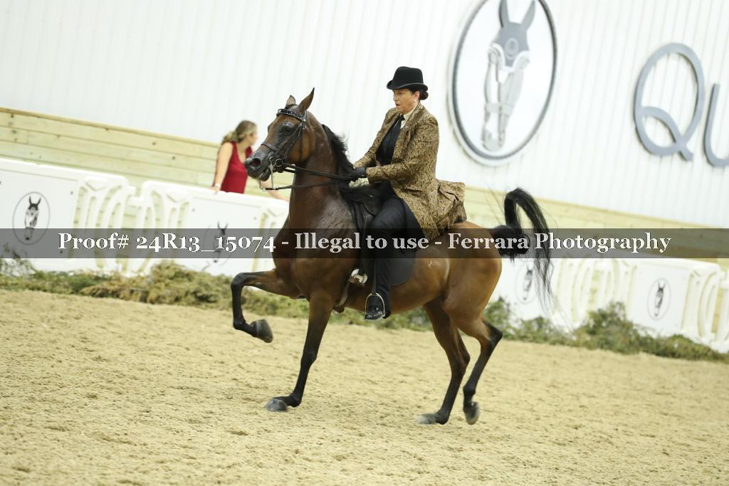 Proof 24R13_15074