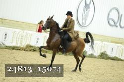 24R13_15074 proof