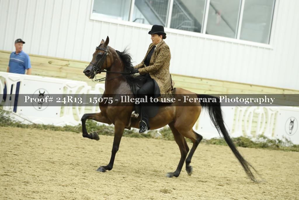Proof 24R13_15075