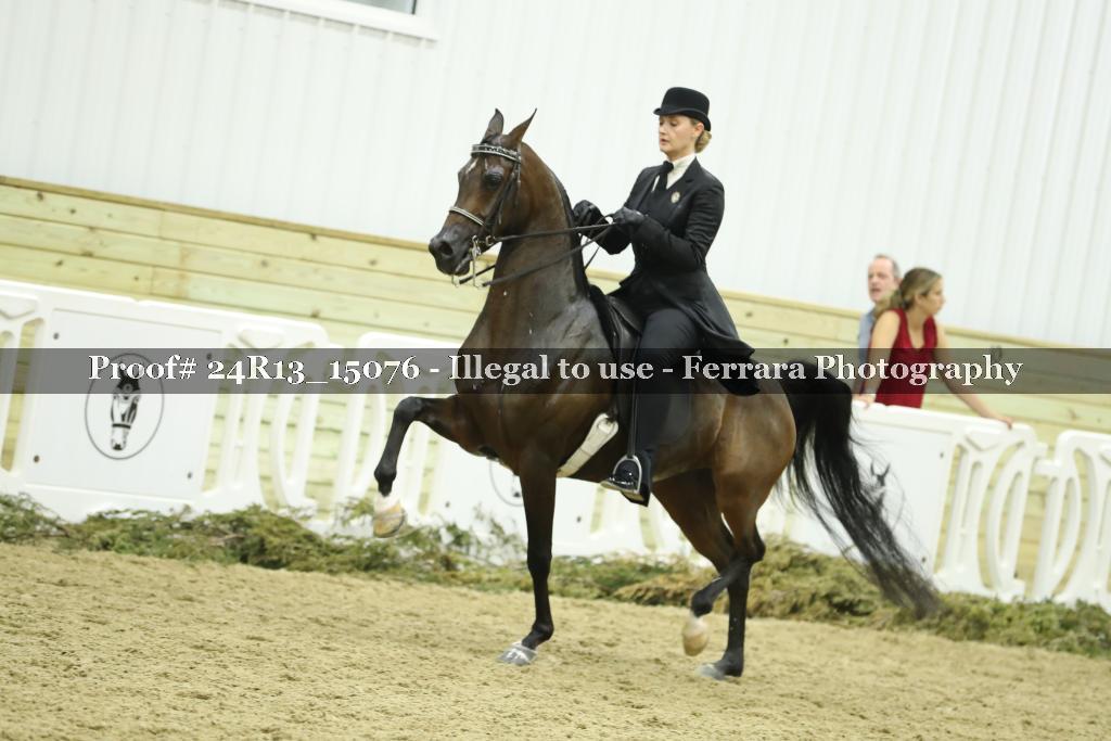 Proof 24R13_15076