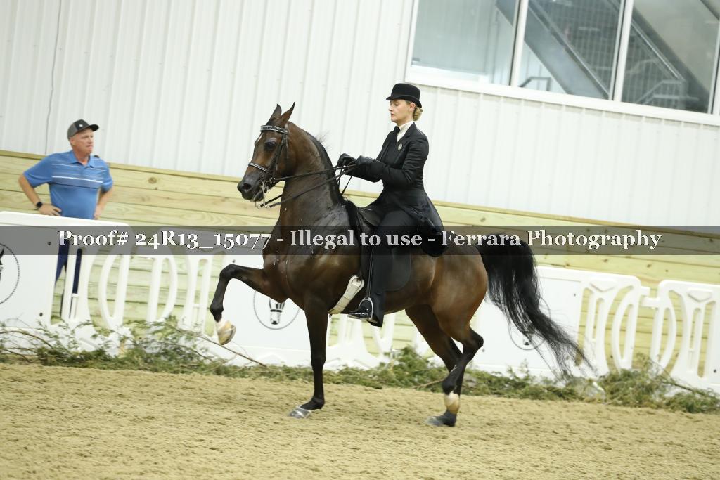 Proof 24R13_15077