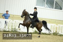 24R13_15077 proof