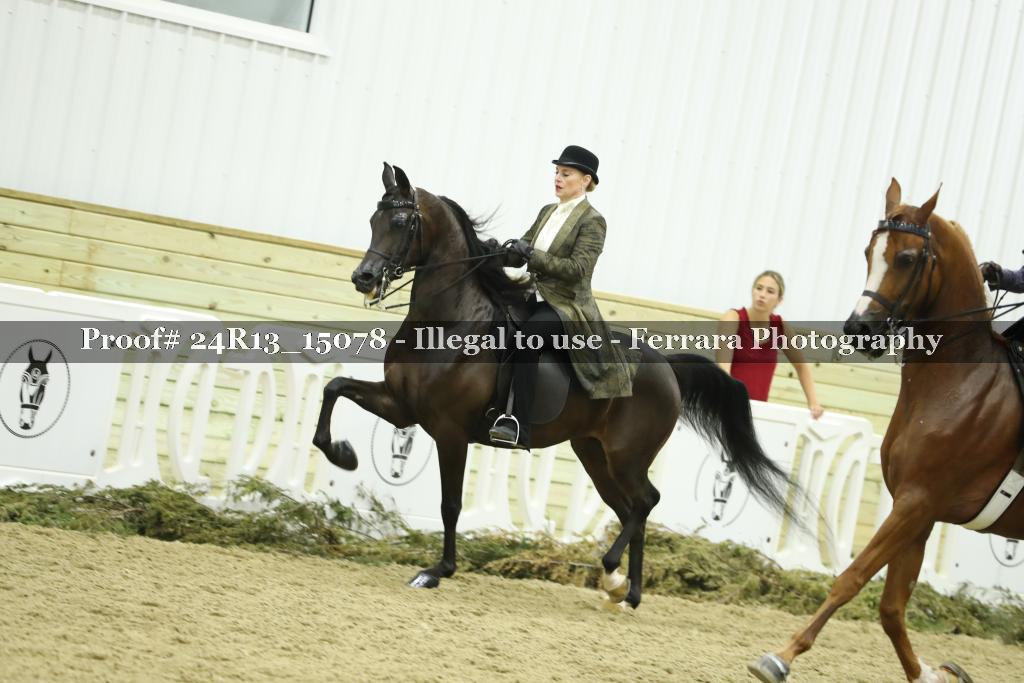 Proof 24R13_15078