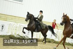 24R13_15078 proof