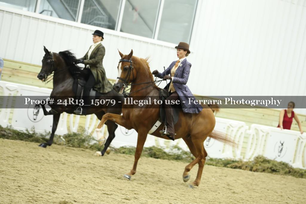 Proof 24R13_15079