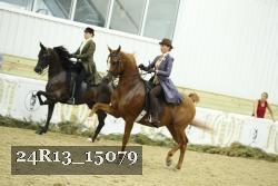 24R13_15079 proof