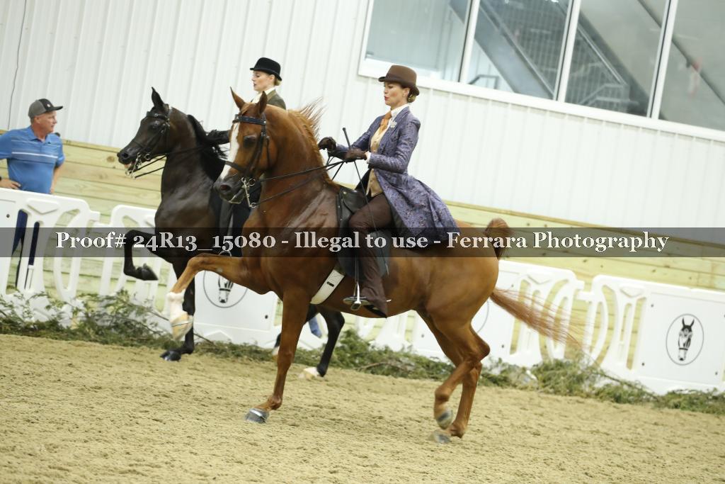 Proof 24R13_15080