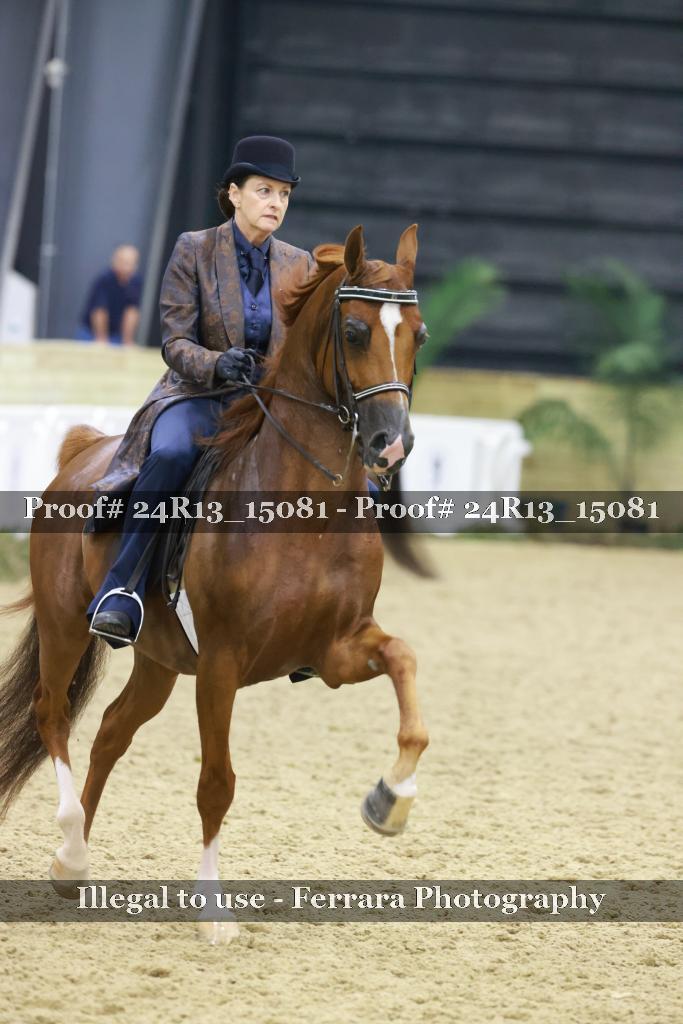 Proof 24R13_15081