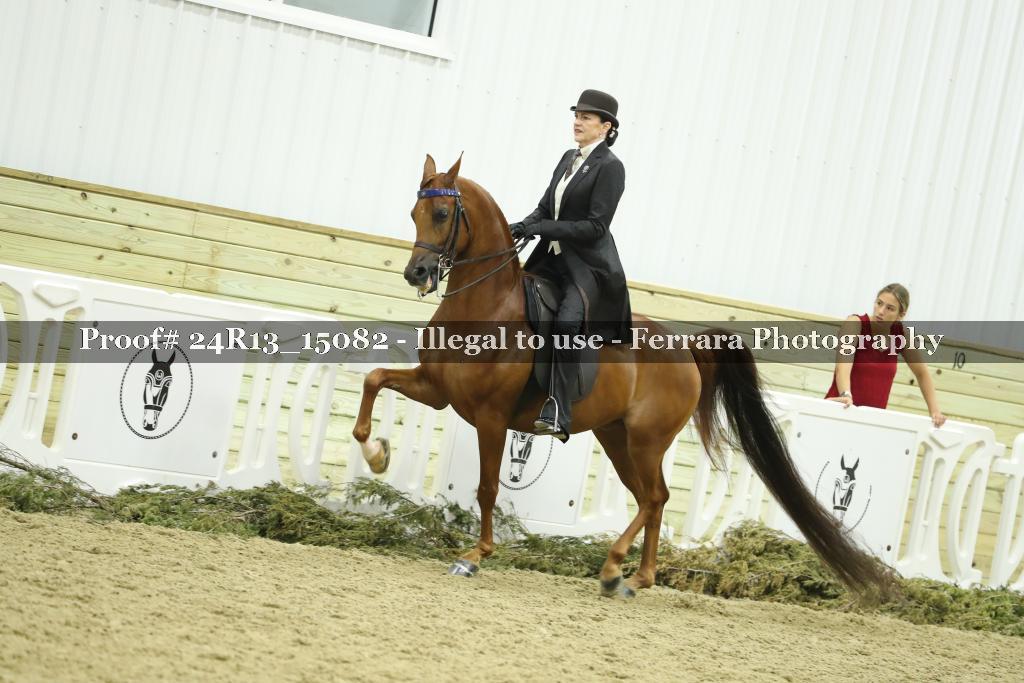 Proof 24R13_15082
