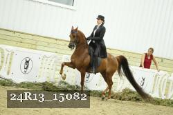 24R13_15082 proof