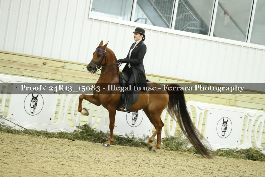 Proof 24R13_15083