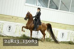 24R13_15083 proof
