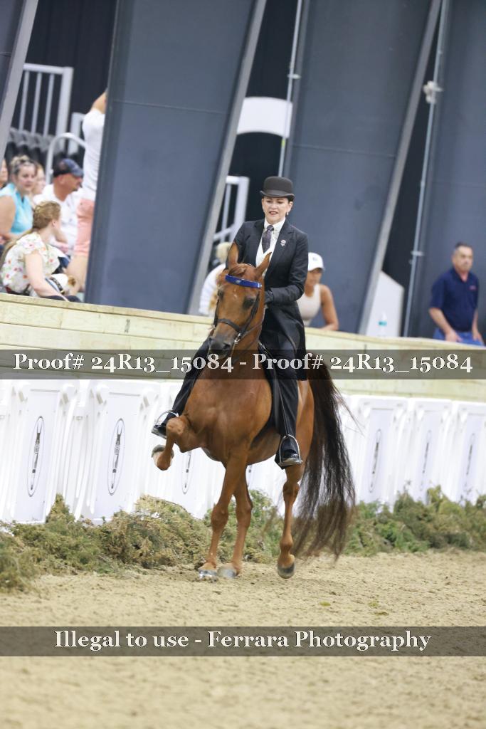 Proof 24R13_15084
