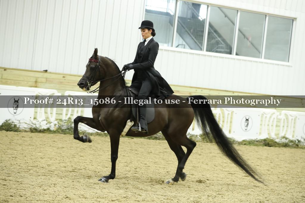 Proof 24R13_15086