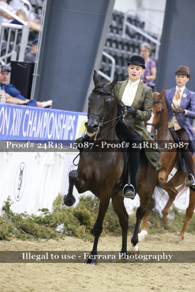 Proof 24R13_15087