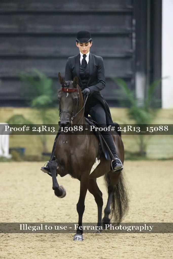 Proof 24R13_15088