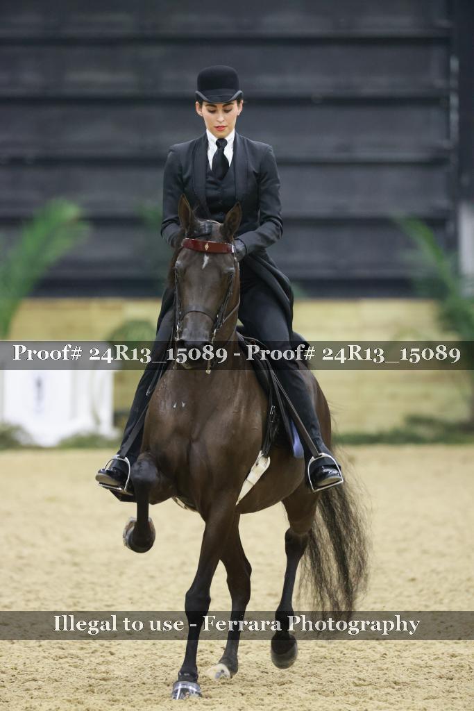 Proof 24R13_15089